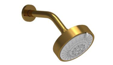 Phylrich 5'' Contemporary Shower Head 4 Function