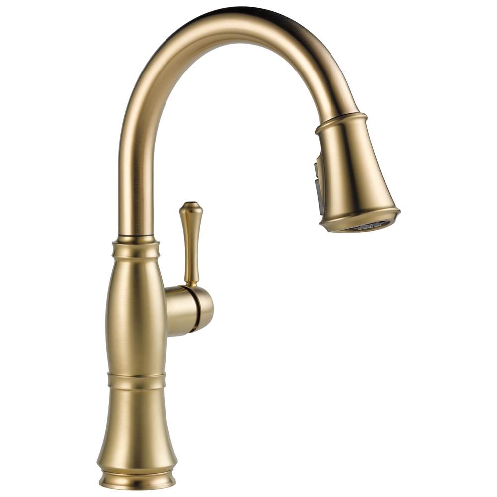 Delta faucet 9197CZPRDST Lumicoat Champagne Bronze 9197CZPRDST Cassidy Single Handle Pulldown Kitchen Fauce - Lumicoat® Champagne Bronze