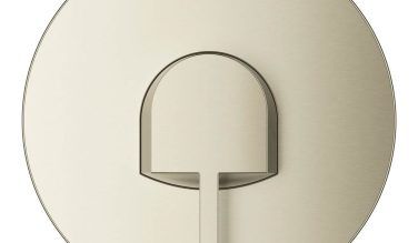 Grohe Pressure Balance Valve Trim With Cartridge